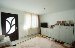 Casa Individuala cu teren 740 mp si potențial de investitie Chisoda