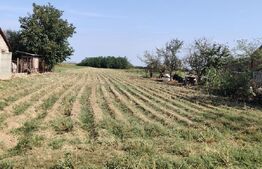 Teren intravilan – 2.707 mp, Belinț