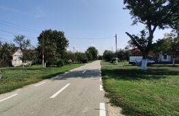 Teren intravilan – 2.707 mp, Belinț