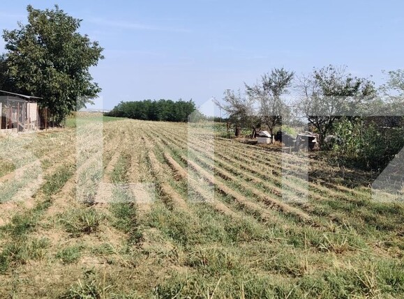 Teren de vânzare Exterior Est - 181810TV | BLITZ Timișoara | Poza3