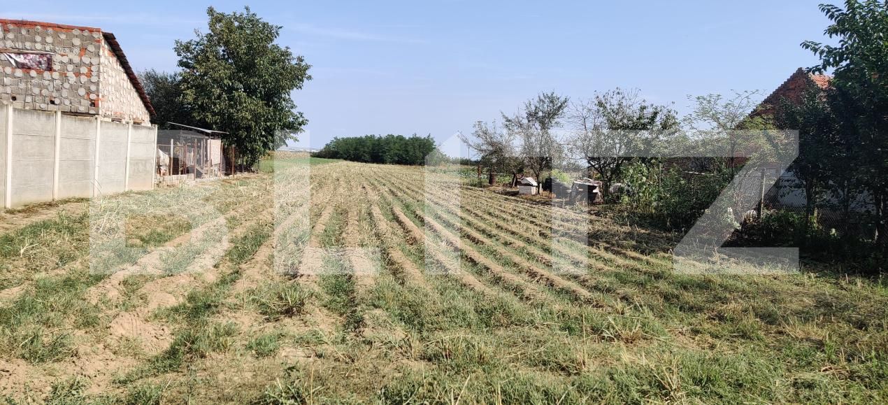 Teren de vânzare Exterior Est - 181810TV | BLITZ Timișoara | Poza3