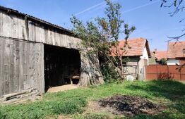 Casă 300 mp, teren 4.900 mp – Belinț