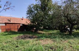 Casă 300 mp, teren 4.900 mp – Belinț