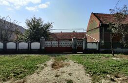 Casă 300 mp, teren 4.900 mp – Belinț