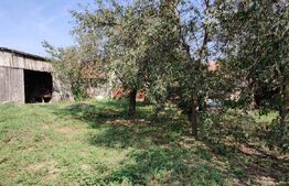 Casă 300 mp, teren 4.900 mp – Belinț