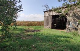 Casă 300 mp, teren 4.900 mp – Belinț