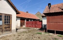 Casă 300 mp, teren 4.900 mp – Belinț