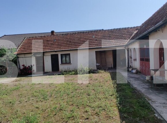 Casa de vânzare 6 camere Belint - 181821CV | BLITZ Timișoara | Poza6
