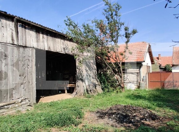 Casa de vânzare 6 camere Belint - 181821CV | BLITZ Timișoara | Poza13