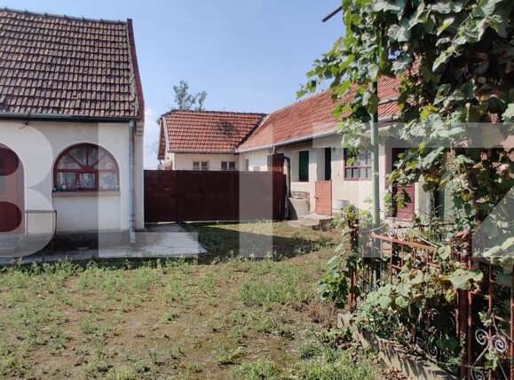 Casa de vânzare 6 camere Belint - 181821CV | BLITZ Timișoara | Poza5