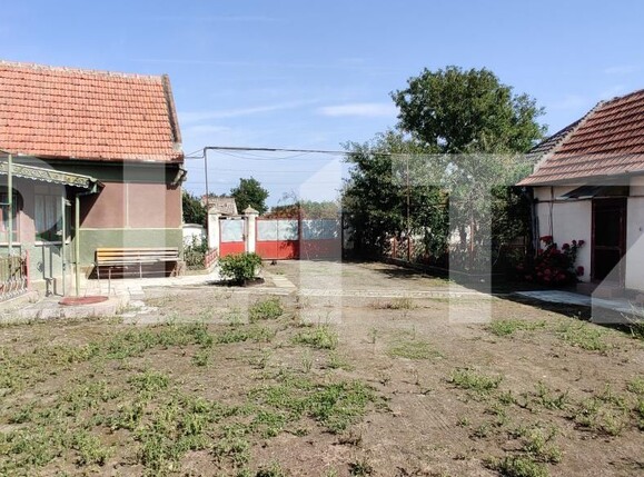 Casa de vânzare 6 camere Belint - 181821CV | BLITZ Timișoara | Poza3