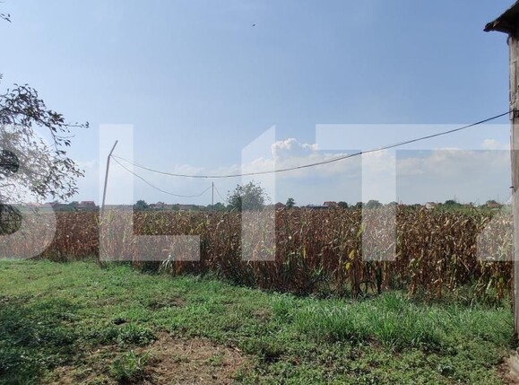 Casa de vânzare 6 camere Belint - 181821CV | BLITZ Timișoara | Poza16