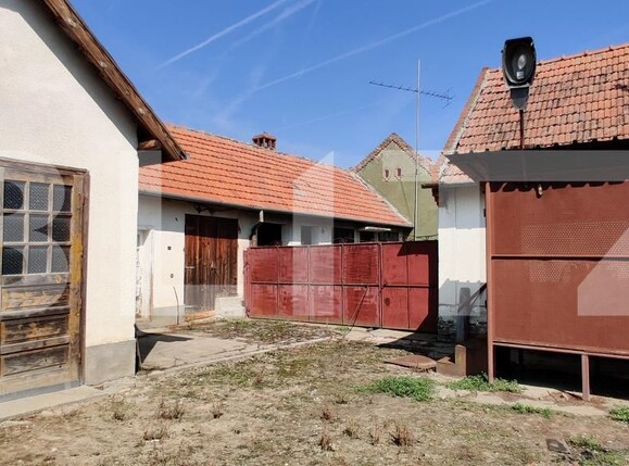 Casa de vânzare 6 camere Belint - 181821CV | BLITZ Timișoara | Poza7