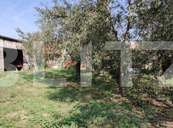 Casa de vânzare 6 camere Belint - 181821CV | BLITZ Timișoara | Poza17