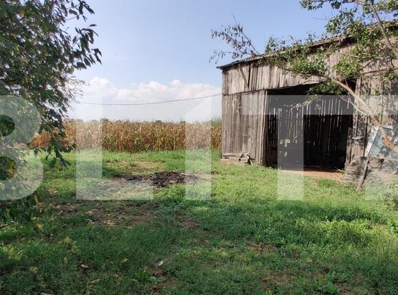 Casa de vânzare 6 camere Belint - 181821CV | BLITZ Timișoara | Poza12