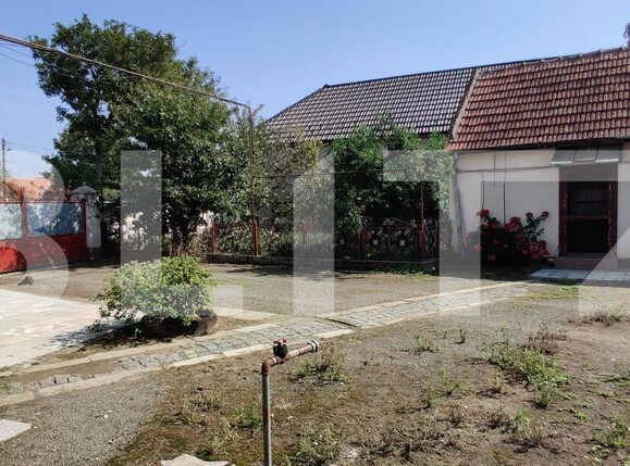 Casa de vânzare 6 camere Belint - 181821CV | BLITZ Timișoara | Poza4