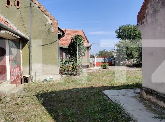 Casa de vânzare 6 camere Belint - 181821CV | BLITZ Timișoara | Poza6