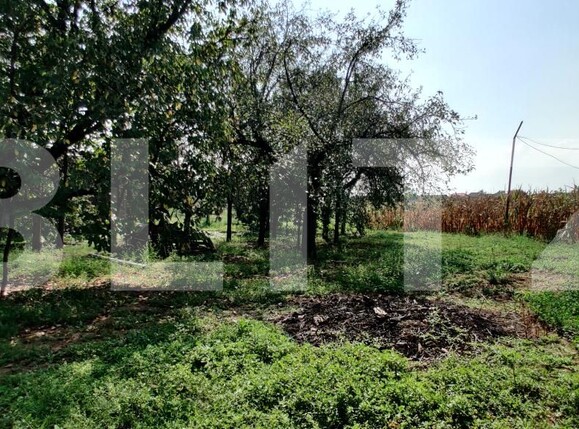 Casa de vânzare 6 camere Belint - 181821CV | BLITZ Timișoara | Poza13