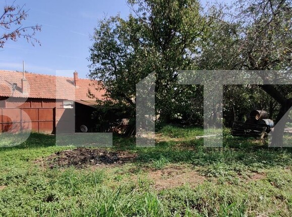 Casa de vânzare 6 camere Belint - 181821CV | BLITZ Timișoara | Poza10