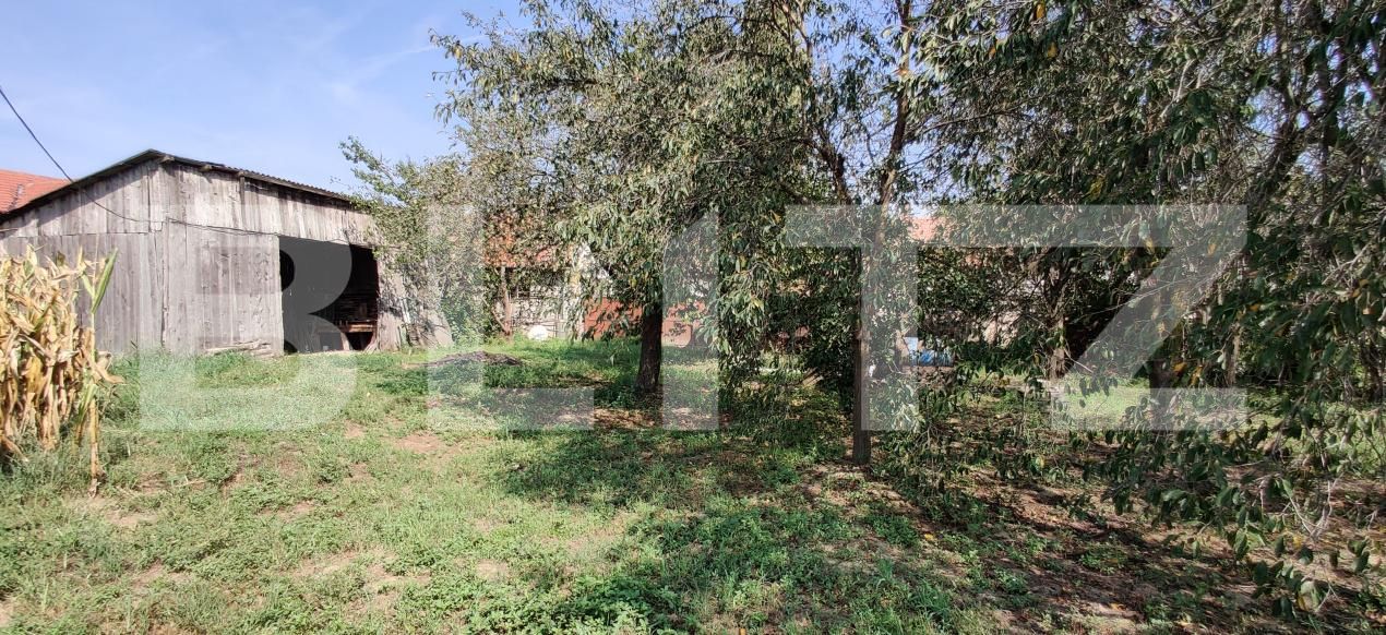 Casa de vânzare 6 camere Belint - 181821CV | BLITZ Timișoara | Poza15