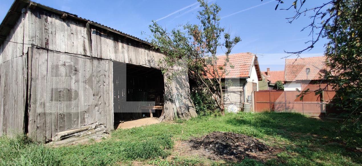 Casa de vânzare 6 camere Belint - 181821CV | BLITZ Timișoara | Poza13