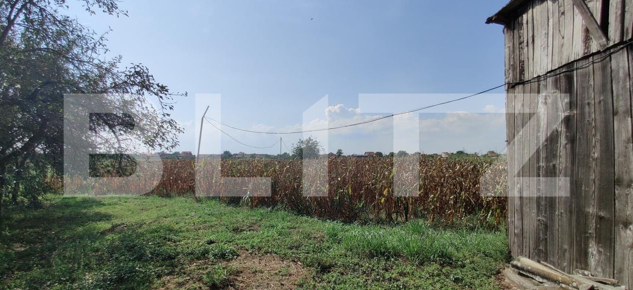 Casa de vânzare 6 camere Belint - 181821CV | BLITZ Timișoara | Poza14