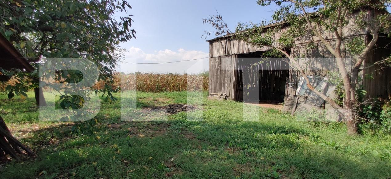 Casa de vânzare 6 camere Belint - 181821CV | BLITZ Timișoara | Poza12