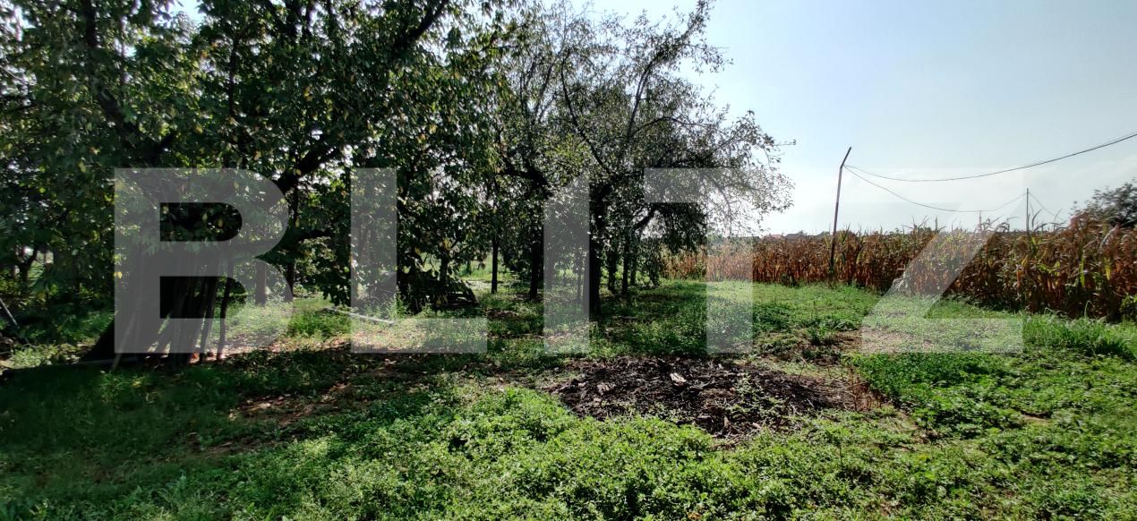 Casa de vânzare 6 camere Belint - 181821CV | BLITZ Timișoara | Poza13