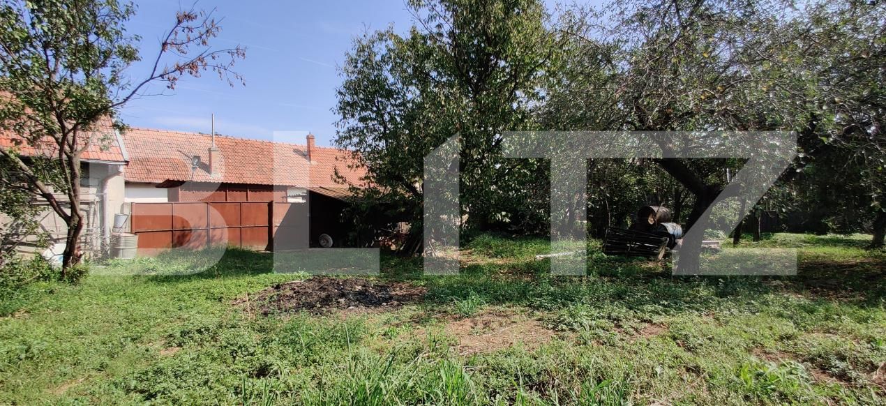 Casa de vânzare 6 camere Belint - 181821CV | BLITZ Timișoara | Poza10