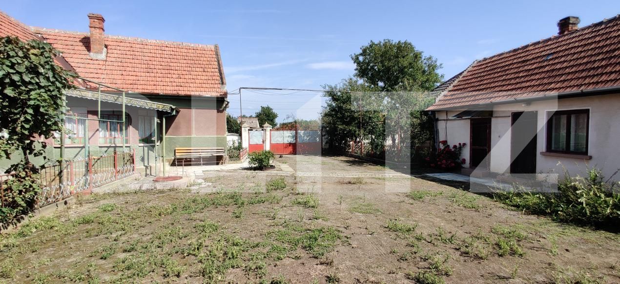 Casa de vânzare 6 camere Belint - 181821CV | BLITZ Timișoara | Poza18