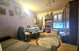 Apartament de vânzare 3 camere Sagului - 173568AV | BLITZ Timișoara | Poza2