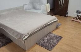Apartament 2 camere, 49 mp, zona Dambovita
