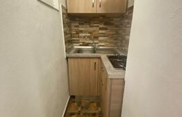 Apartament o camera, 42 mp, zona Freidorf