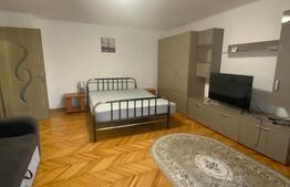Apartament o camera, 42 mp, zona Freidorf
