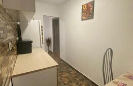 Apartament o camera, 42 mp, zona Freidorf