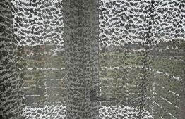 Casă cu teren 1152 mp Parța