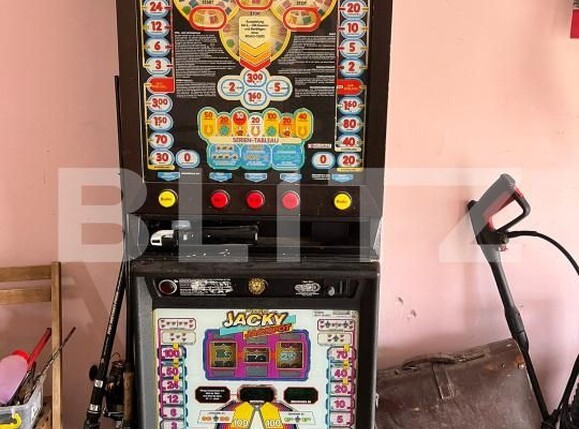 Casa de vânzare 4 camere Parța - 181980CV | BLITZ Timișoara | Poza7