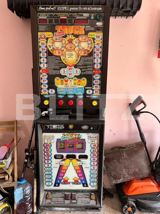 Casa de vânzare 4 camere Parța - 181980CV | BLITZ Timișoara | Poza7