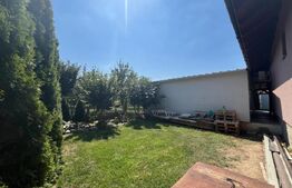 Vilă Spațioasă cu Potențial Rezidențial/Business - Chisoda