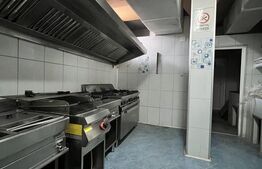 Spațiu Comercial 40 mp – Ideal Fast-Food / Delivery – Zona Modern, Artera Princi