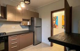 Apartament cu terasă la intrare în Dumbrăvița