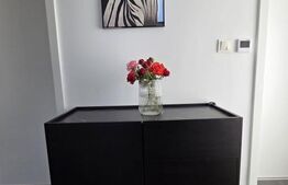Duplex 3 camere, 76 mp, Calea Urseni