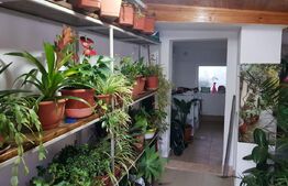 Casa individuala 4 camere, 100 mp, zona Girocului 