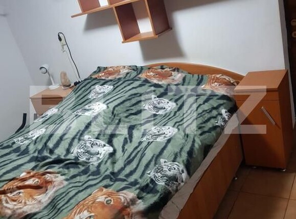 Casa de vânzare 4 camere Girocului - 182191CV | BLITZ Timișoara | Poza4