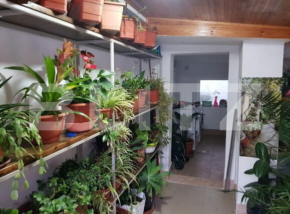 Casa de vânzare 4 camere Girocului - 182191CV | BLITZ Timișoara | Poza11