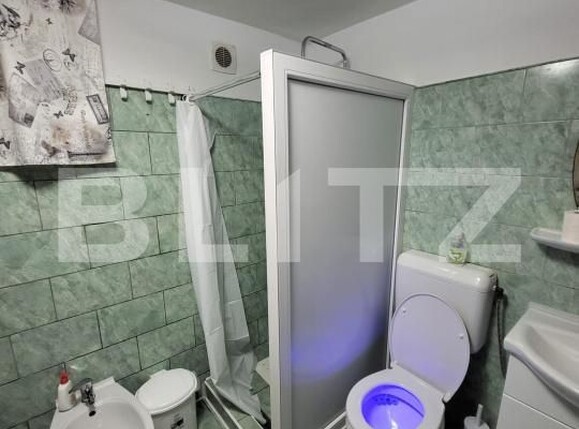 Casa de vânzare 4 camere Girocului - 182191CV | BLITZ Timișoara | Poza9