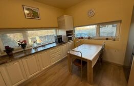 Duplex LUMINOS 120MP utili P+1E curte spatioasa terasa acoperita