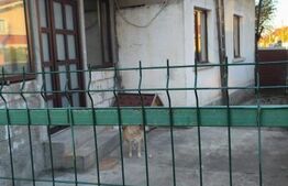 Casa individuala 3 camere Dumbravita