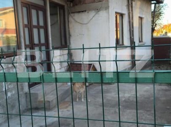 Casa de vânzare 4 camere Dumbravita - 182356CV | BLITZ Timișoara | Poza3