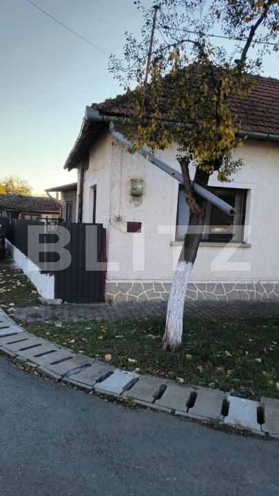 Casa de vânzare 4 camere Dumbravita - 182356CV | BLITZ Timișoara | Poza2